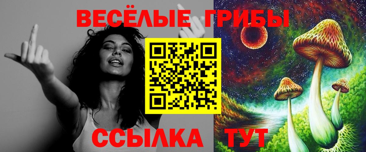 Галлюциногенные грибы прущие грибы  Галлюциногенные грибы ЛСД  Вход с VPN  Алатырь 